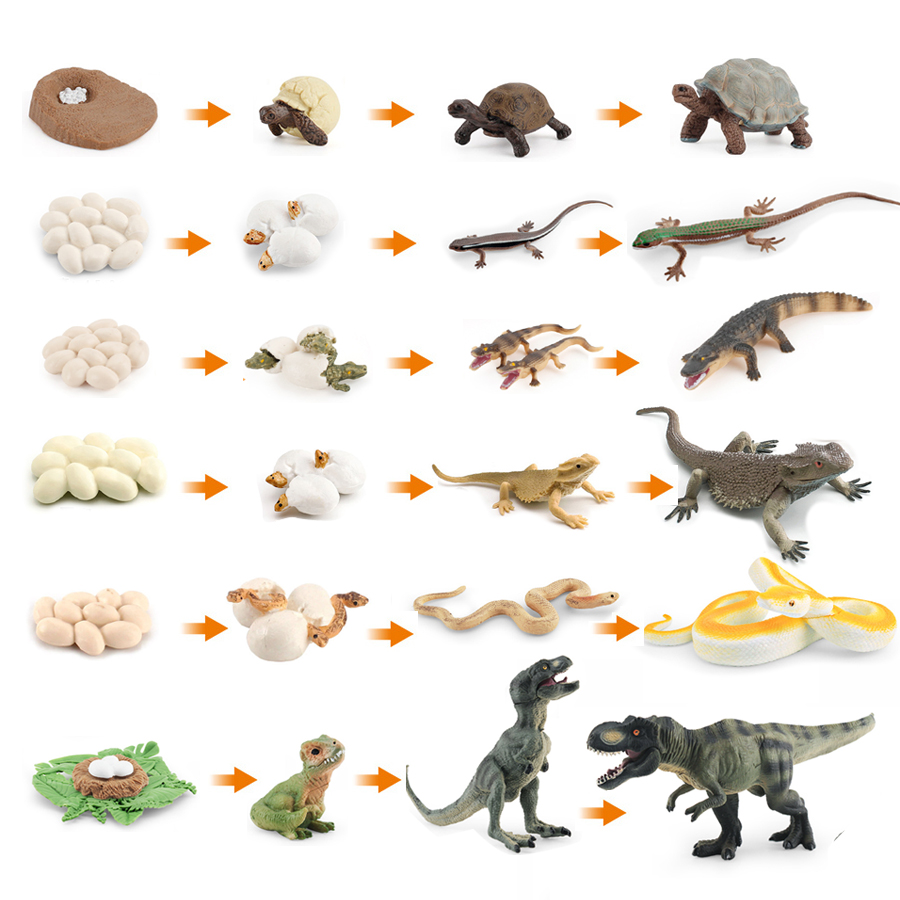 Model Kit Lizard - Simulation Dinosaur Lizard Turtle Snake Crocodile