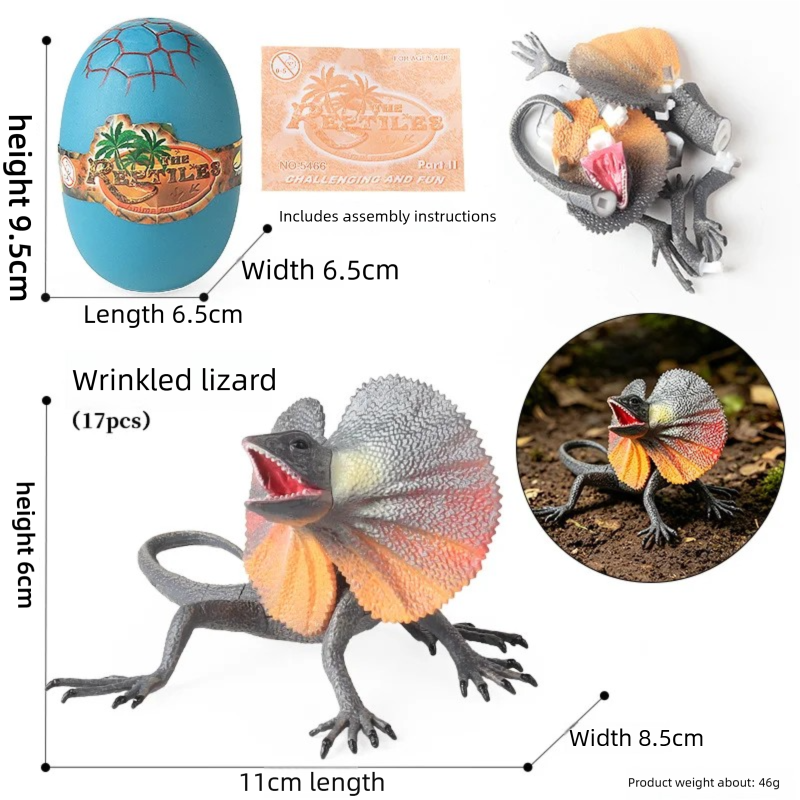 Model Kit Lizard - Oenux 4D Assembly Insect Reptile Models