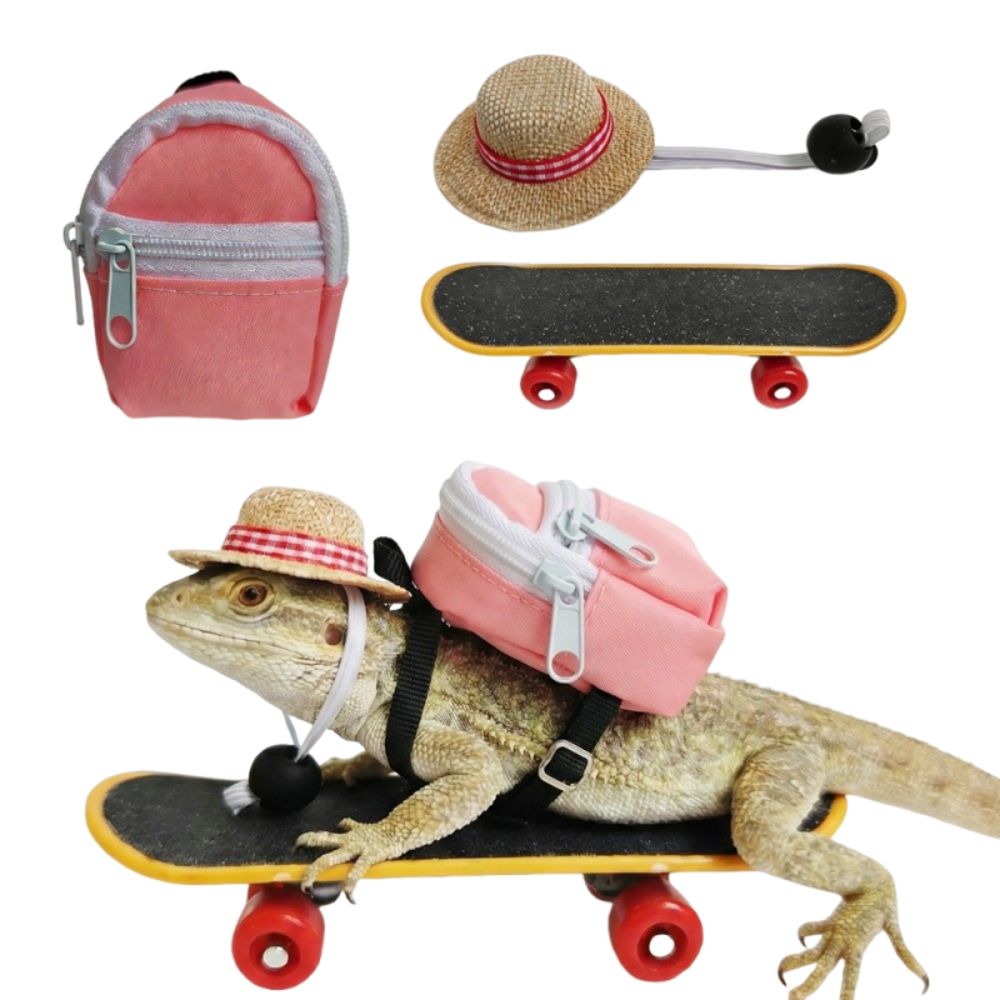 Creative Pet Skateboard Toys S - Model Kit Lizard avis et prix