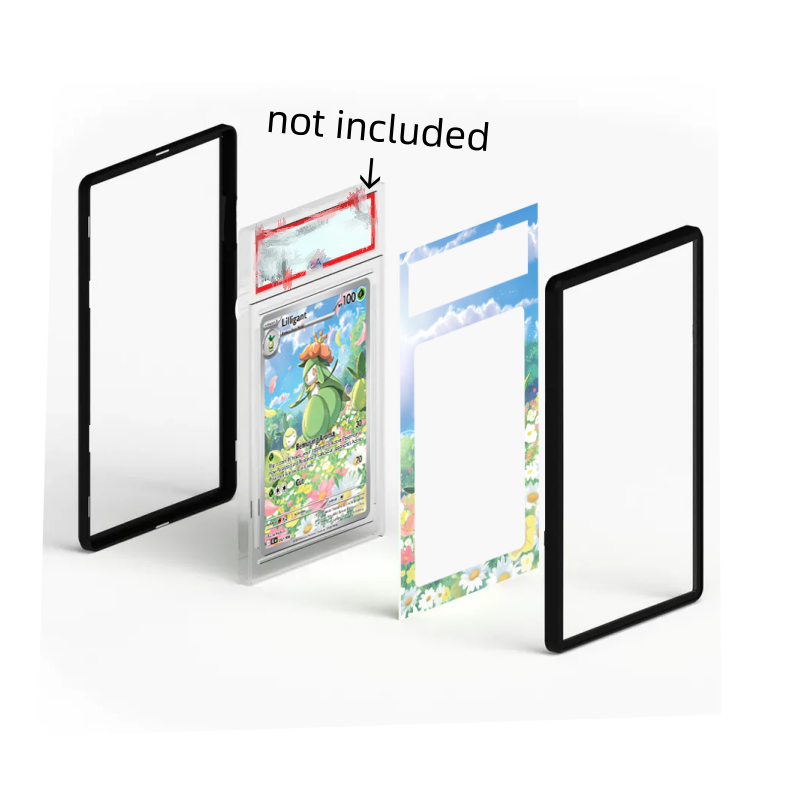 Art Display for Ptcg Lugia Gre - Model Kit Lugia avis et prix