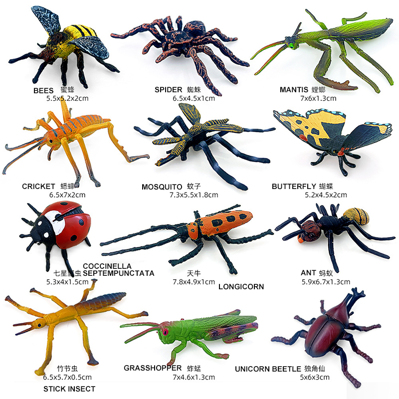 12pcs Wild Insect Animals Mode - Model Kit Lizard avis et prix