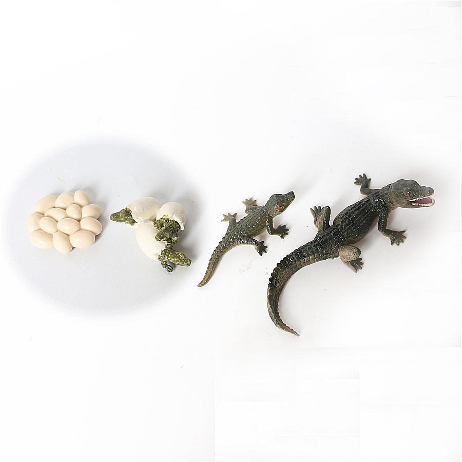 Simulation Dinosaur Lizard Tur - Model Kit Lizard avis et prix