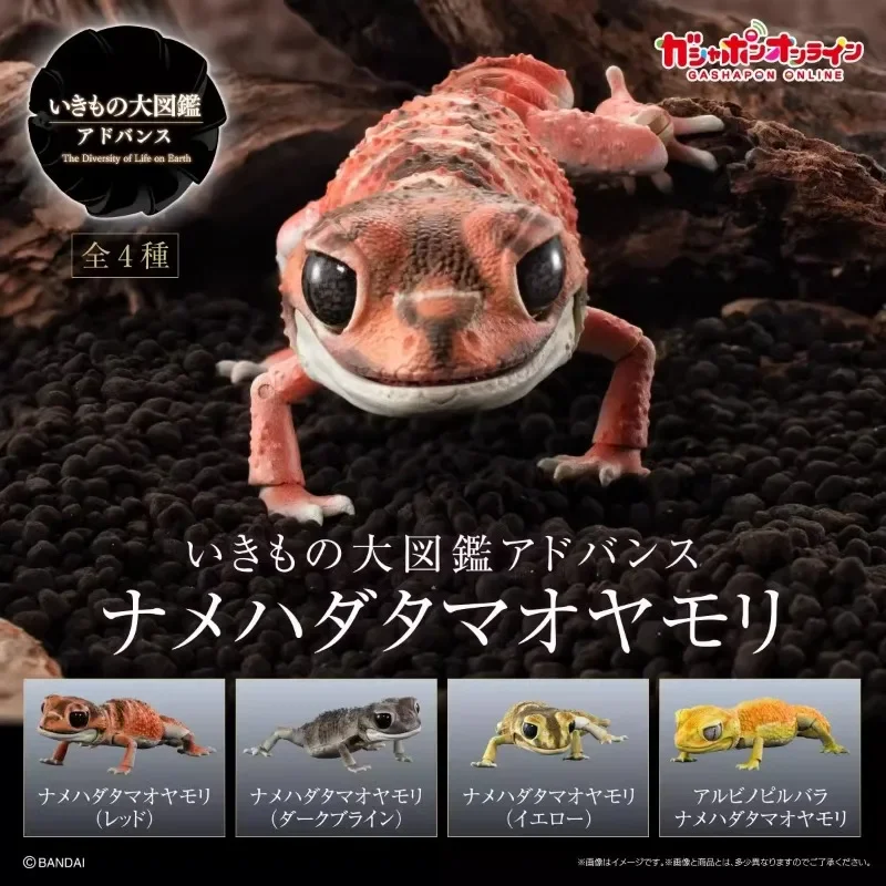 Original Biological Encycloped - Model Kit Lizard avis et prix