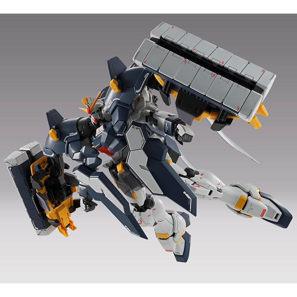 Original Bandai MG 1/100 Gunda - Model Kit Lizard avis et prix