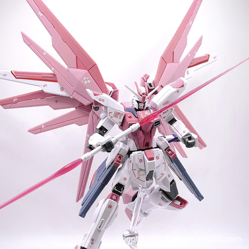 Newdom Unactivated Color Zgmf- - Gundam Model Mg avis et prix