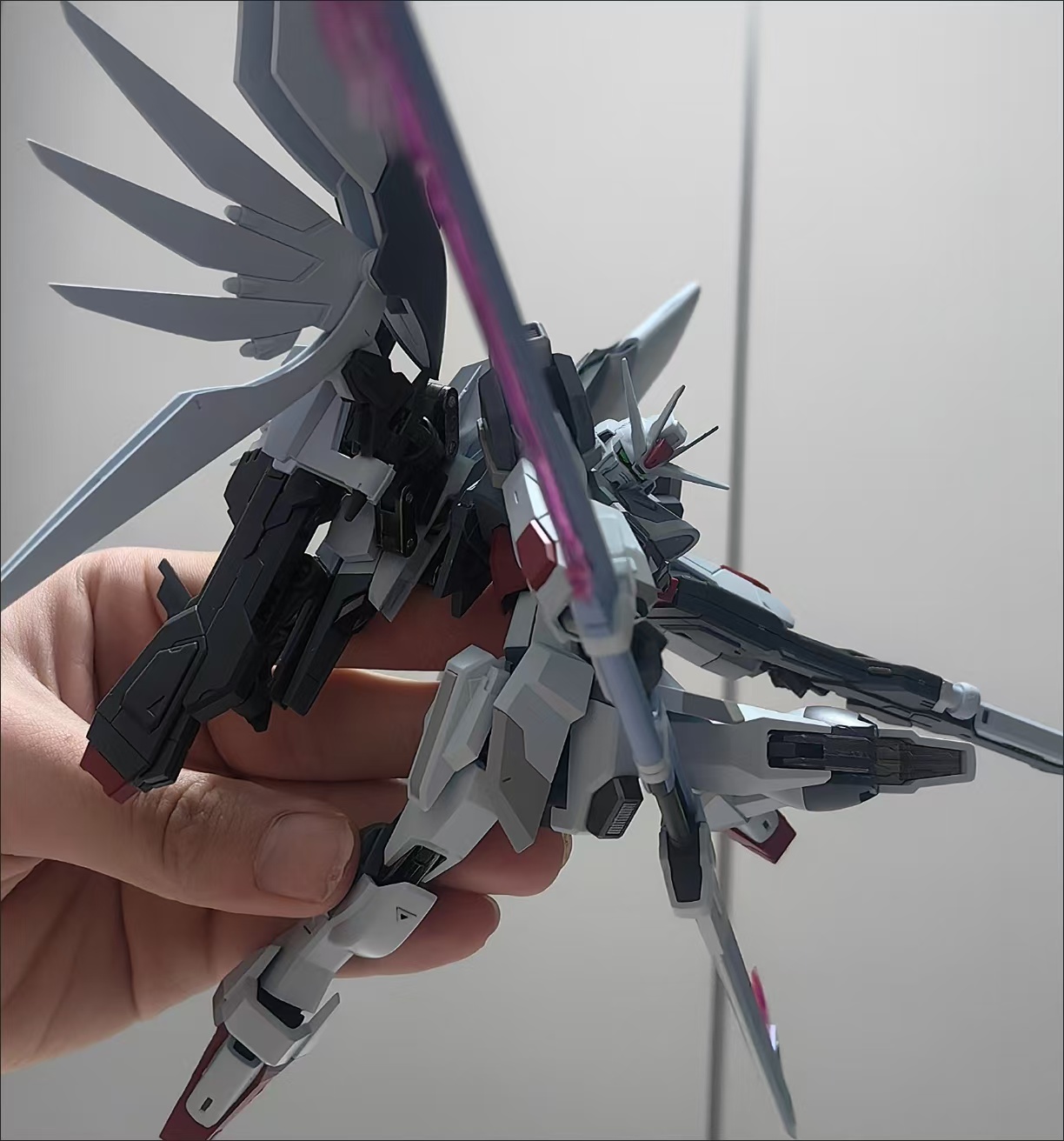 In Stock Mr Flying Bird MR 1/1 - Model Kit Zeus avis et prix