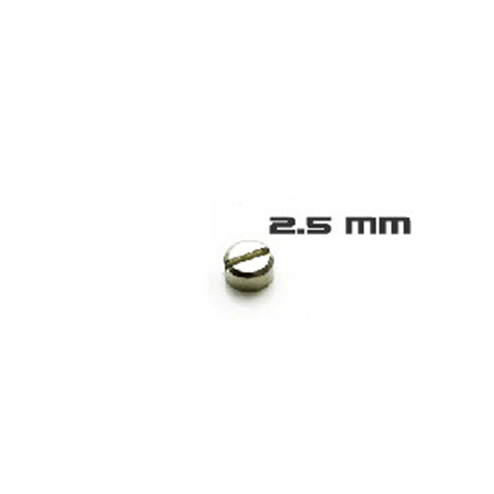 30pcs Armored Screws Model Sup - Gundam Model Mg avis et prix