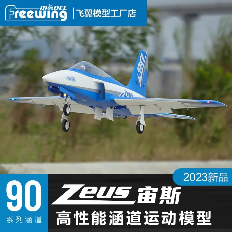 Freewing Electric RC Jet Plane - Model Kit Zeus avis et prix