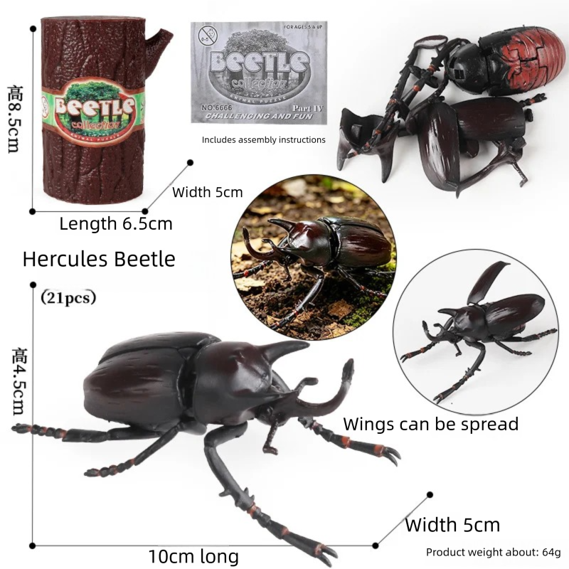 Oenux 4D Assembly Insect Repti - Model Kit Lizard avis et prix